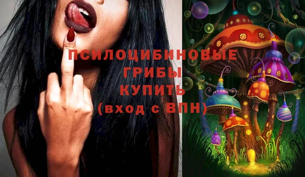 индика Алзамай