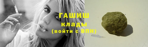 ГАЛЛЮЦИНОГЕННЫЕ ГРИБЫ Корсаков