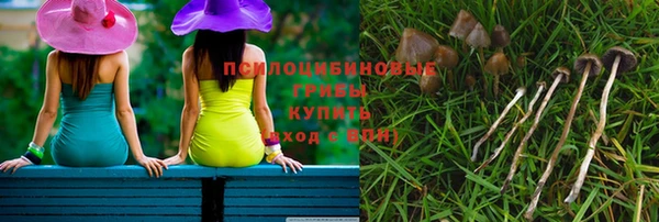 спайс Абдулино