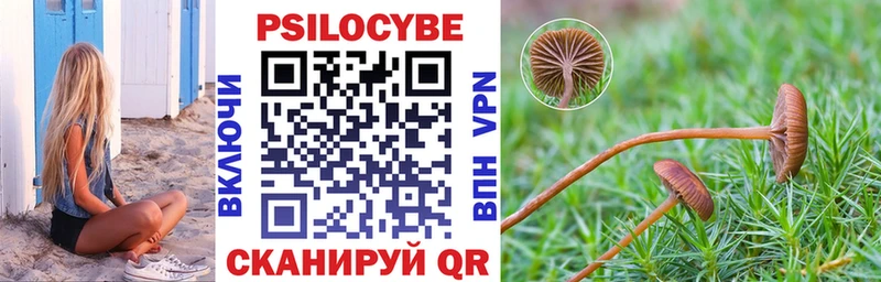 магазин продажи   Магнитогорск  Галлюциногенные грибы Magic Shrooms 